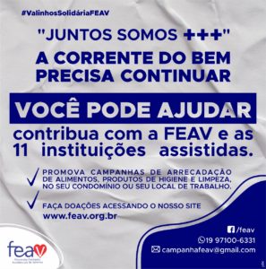 Contribua com as 11 instituições que fazem parte da FEAV