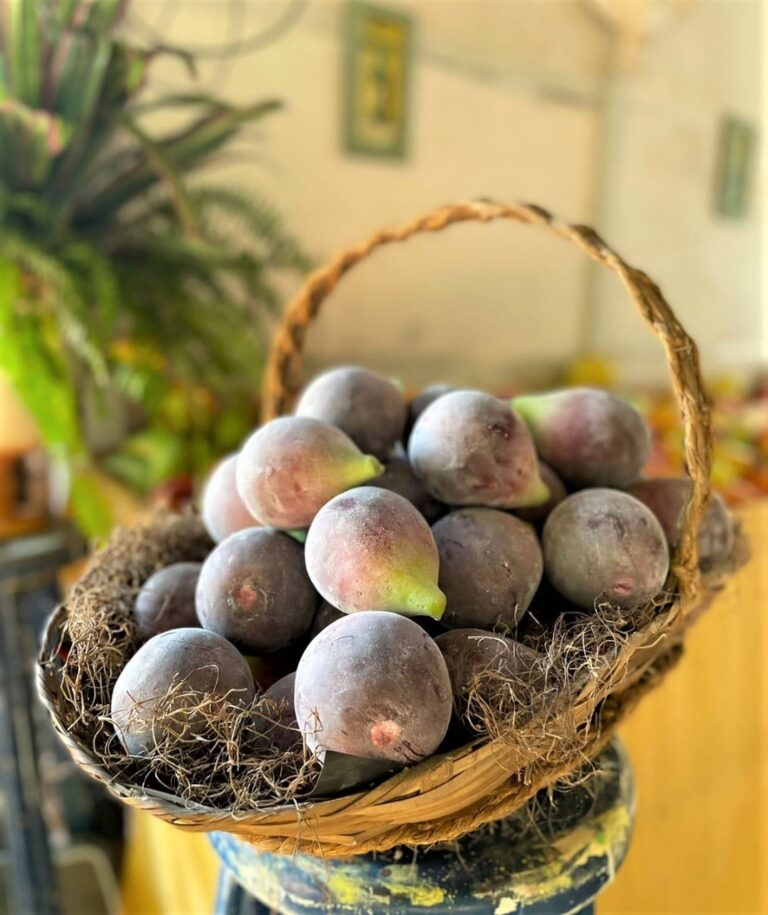 Frutas em cerâmica de Aldemir Cândido uma das atrações na Festa do Figo Valinhos